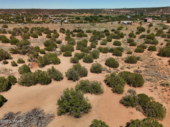 0 Shumway Road, Taylor, Arizona 85939, ,Land,For Sale,Shumway,256311