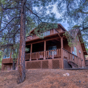 Front View