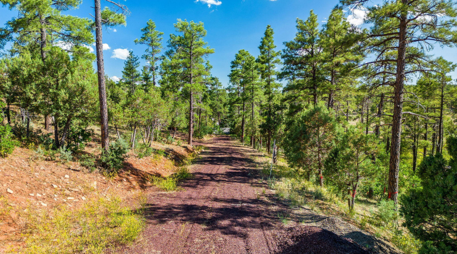 3201EEllsworthRd-ShowLow-AZ-6