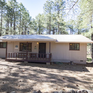 1667 Little Pine 47
