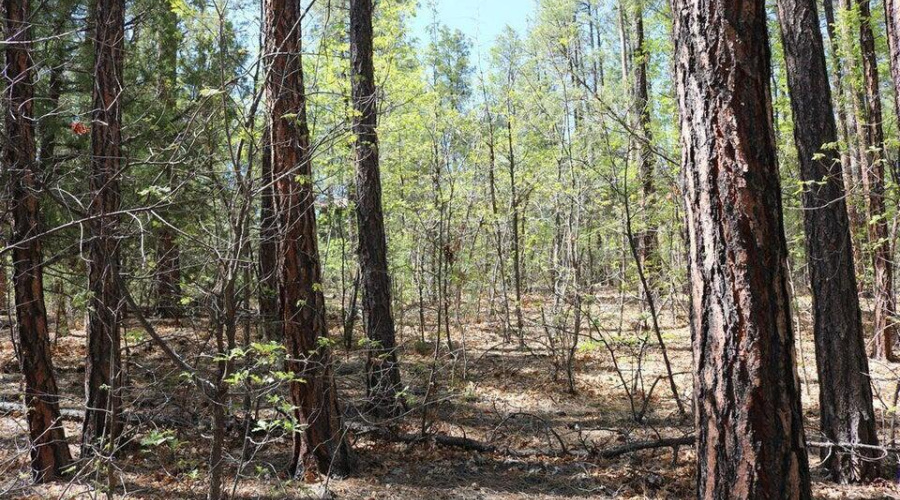 20250528194121145481000000-o