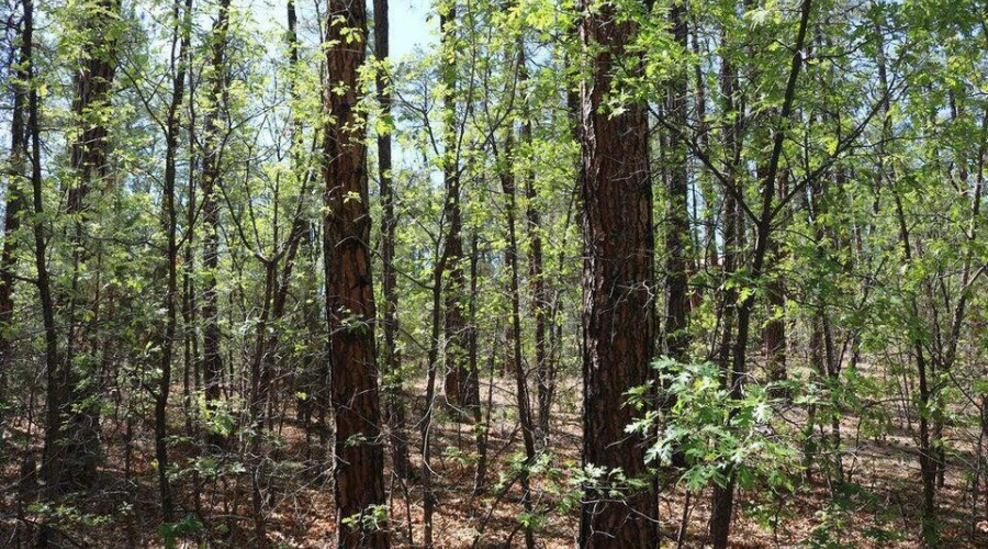 20250528194119643942000000-o