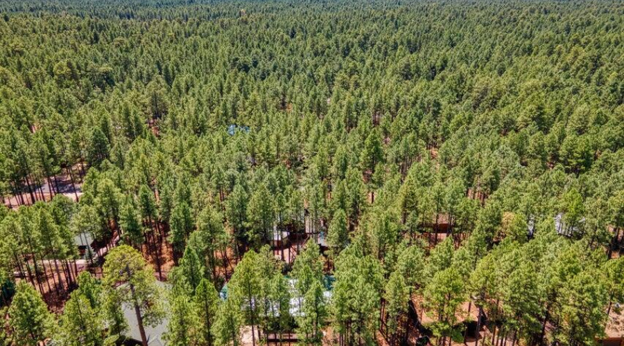 20240821214706848663000000-o