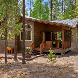 2CountyRd2069-Alpine-AZ-4