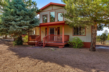 3174 Tonto Drive, Overgaard, Arizona 85933, Bedrooms, ,Bathrooms,Residential,For Sale,Tonto,92368