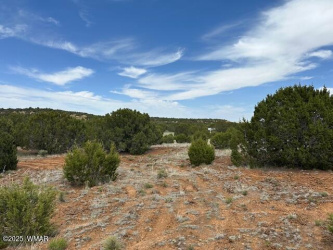 50 County Road 3048, Concho, Arizona 85924, ,Land,For Sale,County Road 3048,256378