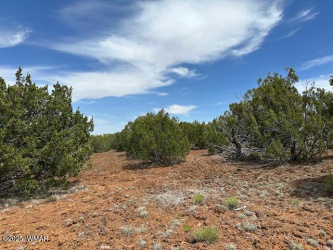 46 County Road 3048, Concho, Arizona 85924, ,Land,For Sale,County Road 3048,256377