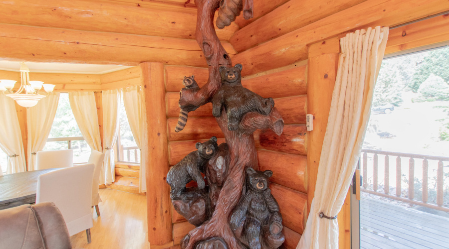 Raines - Hidden Pines Loop-14