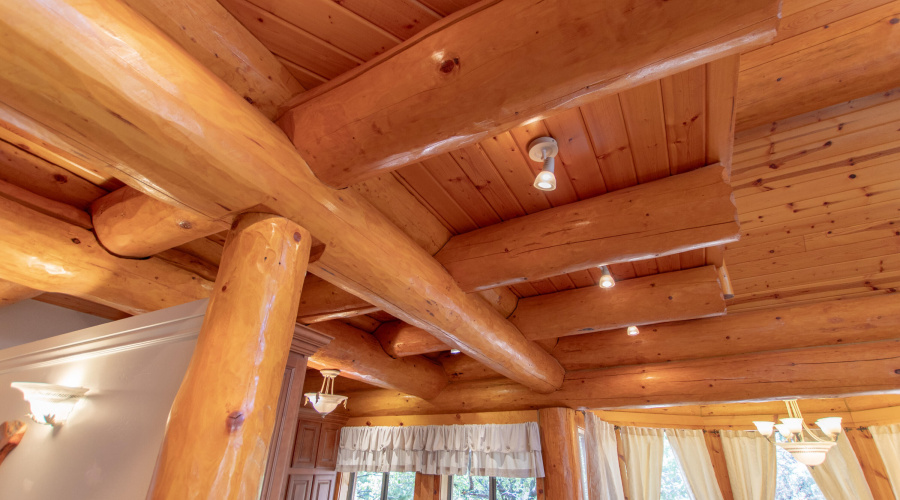 Raines - Hidden Pines Loop-51