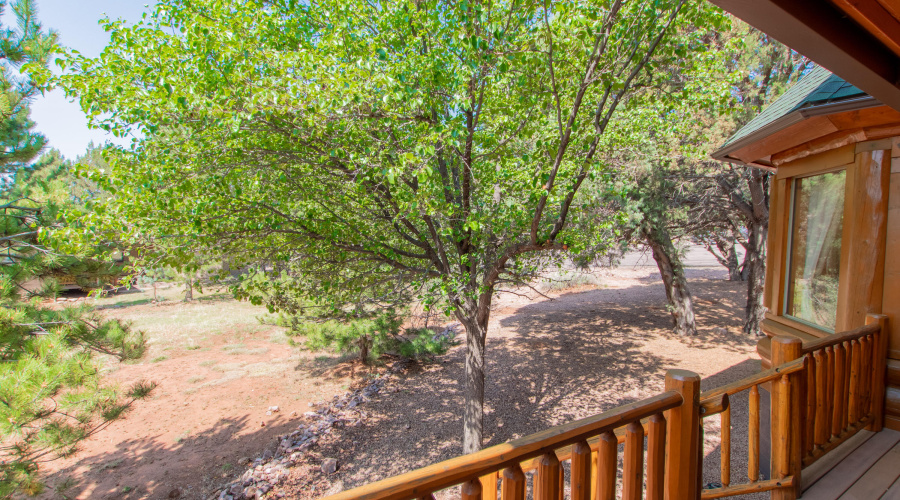 Raines - Hidden Pines Loop-78