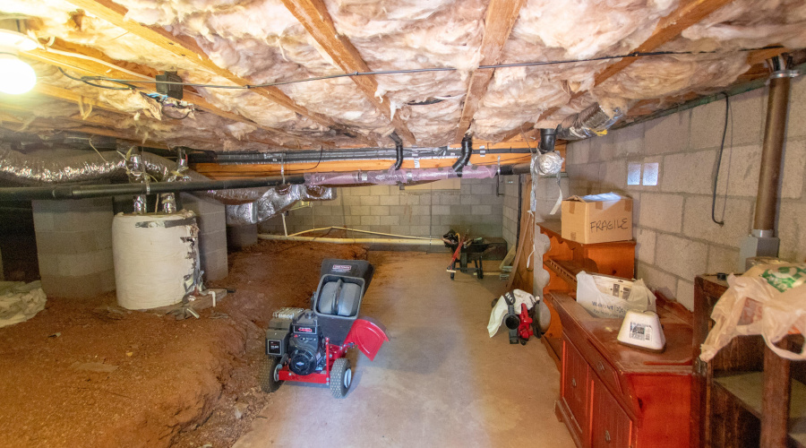 Raines - Hidden Pines Loop-80