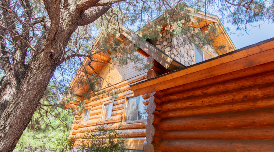 Raines - Hidden Pines Loop-82