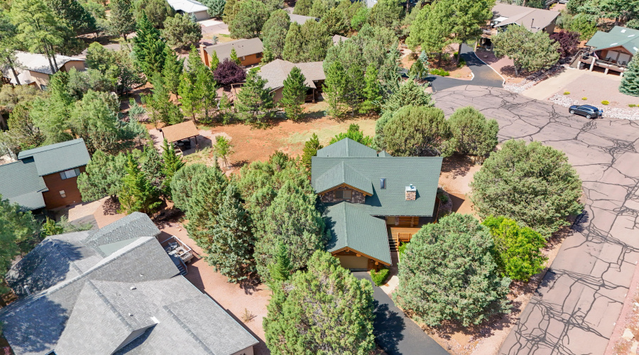 Raines - Hidden Pines Loop-91