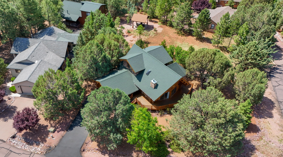 Raines - Hidden Pines Loop-93