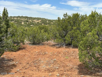 40 County Road 3048, Concho, Arizona 85924, ,Land,For Sale,County Road 3048,256375
