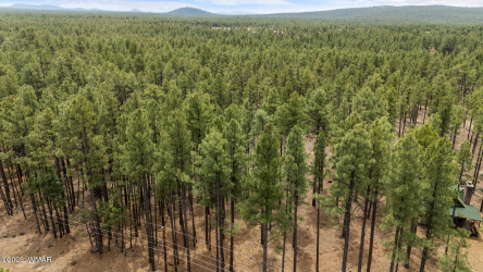 9241 Morgan Mountain Road, Lakeside, Arizona 85929, ,Land,For Sale,Morgan Mountain,256373