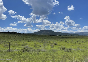 TBD Parcel 1, Springerville, Arizona 85938, ,Land,For Sale,Parcel 1,251558