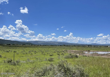 TBD Parcel 3, Springerville, Arizona 85938, ,Land,For Sale,Parcel 3,251560