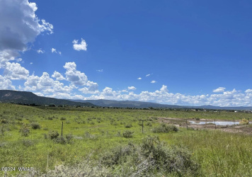 TBD Parcel 2, Springerville, Arizona 85938, ,Land,For Sale,Parcel 2,251559