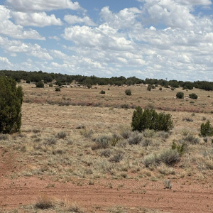Quad Trail