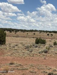 104 N 5532, Concho, Arizona 85924, ,Land,For Sale,N 5532,256356