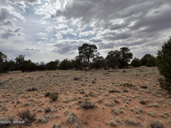 TBD N5505, Concho, Arizona 85924, ,Land,For Sale,N5505,256294