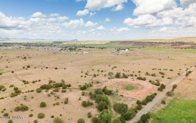 TBD Parcel 4, Springerville, Arizona 85938, ,Land,For Sale,Parcel 4,251562