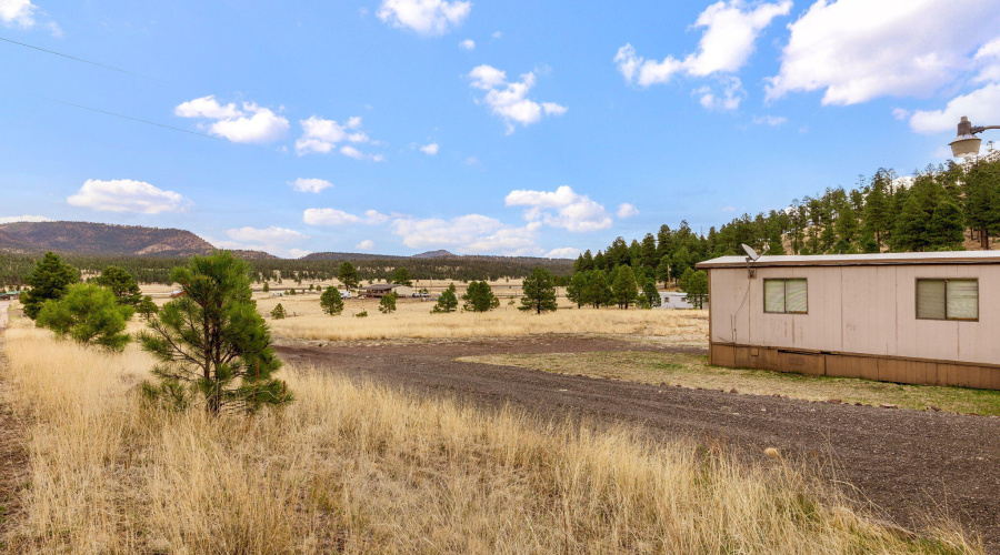 4CR2110-Alpine-AZ-19