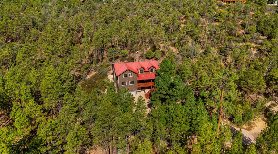 2020SPleasantView-ShowLow-AZ-36