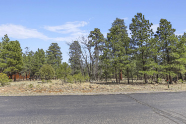 1755 Sugar Pine Drive, Happy Jack, Arizona 86024, ,Land,For Sale,Sugar Pine,92140