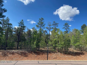 2400 Monkshood Road, Show Low, Arizona 85901, ,Land,For Sale,Monkshood,256411