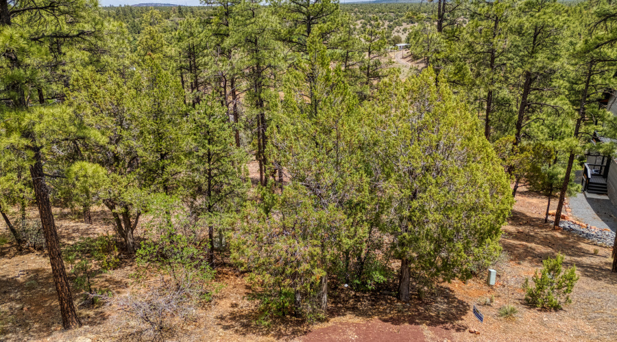 DJI_20250609124459_0454_D_AuroraHDR2019-