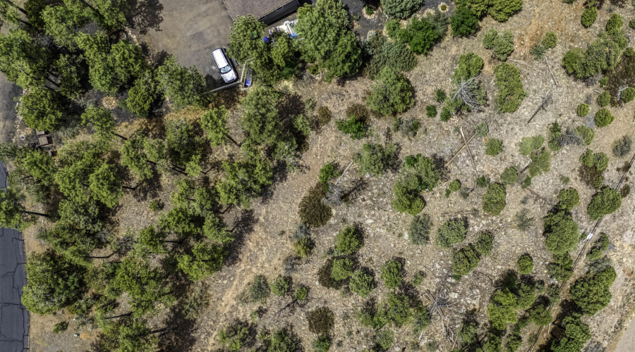 DJI_20250609124559_0460_D_AuroraHDR2019-