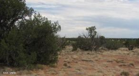 Sec 19 T15N, R16E, Heber, Arizona 85928, ,Land,For Sale,T15N, R16E,256387