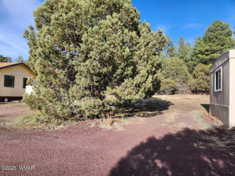2205 Parkinson Road, Lakeside, Arizona 85929, Bedrooms, ,Bathrooms,Residential,For Sale,Parkinson,256303