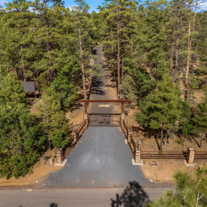 Custom Driveway Gate