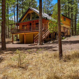 70CountyRd2266-Alpine-AZ-1