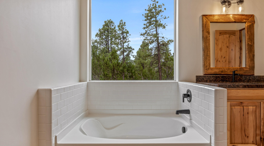 2770ChandelleLn-Overgaard-AZ-20