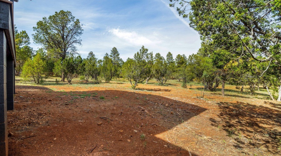 2759PantherCir-Overgaard-AZ-35