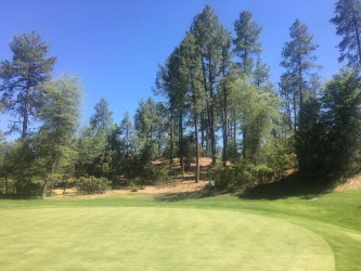 406 Evening Primrose Circle, Payson, Arizona 85541, ,Land,For Sale,Evening Primrose,92389