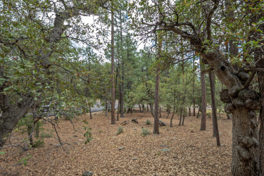 98 Juniper Loop, Pine, Arizona 85544, ,Land,For Sale,Juniper Loop,92391