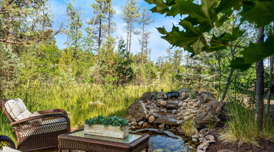 Tranquil Water Feature
