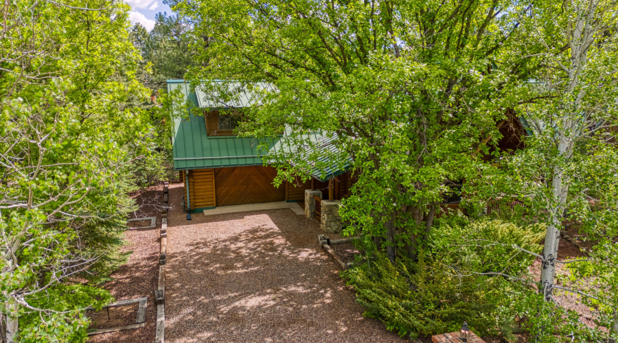 Left Driveway - Drone