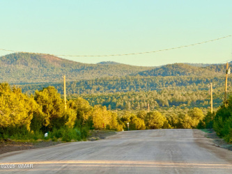 50 Winchester (3151) Boulevard, Vernon, Arizona 85940, ,Land,For Sale,Winchester (3151),256431