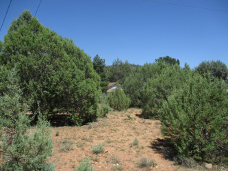 61 Palomino Way, Payson, Arizona 85541, ,Land,For Sale,Palomino,92395