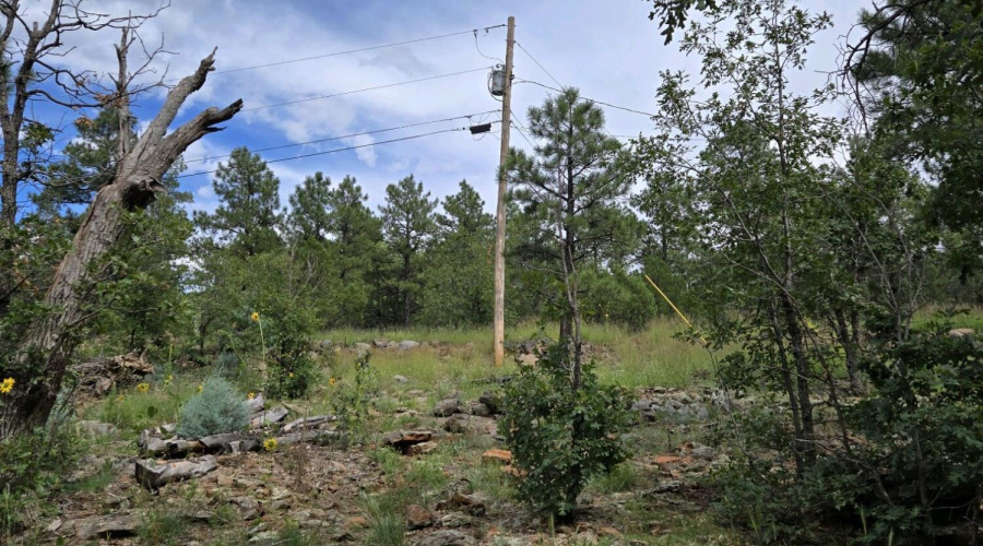 Electirc at property line