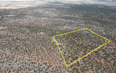 9133 Ridge View Lane, Snowflake, Arizona 85937, ,Land,For Sale,Ridge View,256446