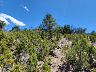 TBD SUNSET Drive, Eagar, Arizona 85925, ,Land,For Sale,SUNSET,256441