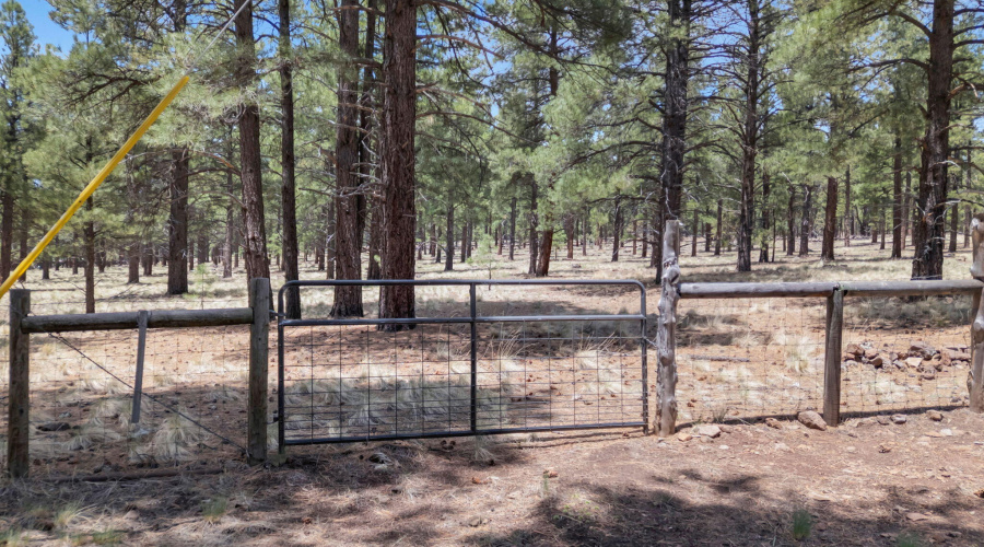 37-web-or-mls-TimberCreekImagery-40