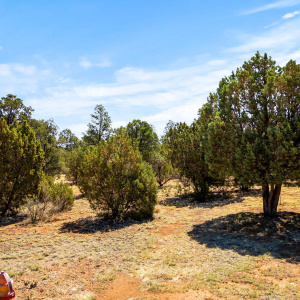 3327SawMillRidgeLoop-Heber-AZ-1
